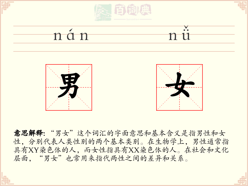 男女