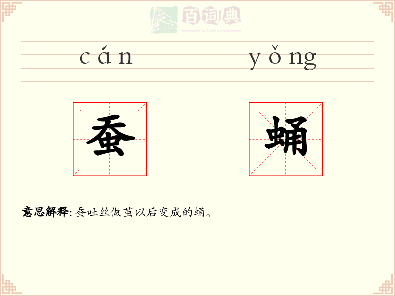 蚕蛹
