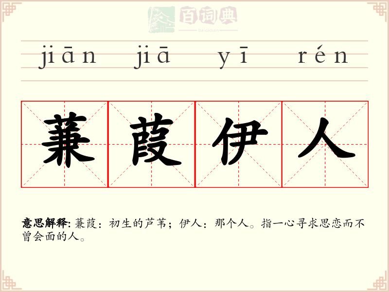 蒹葭伊人