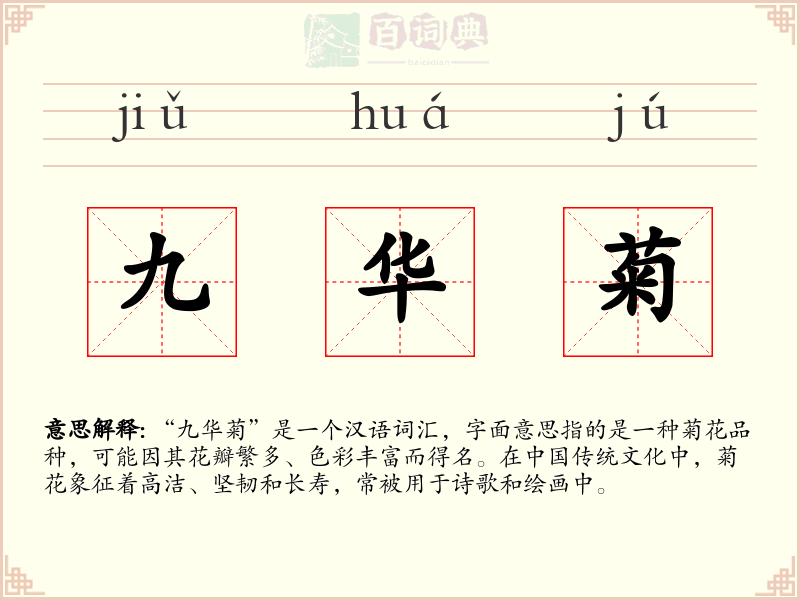 九华菊