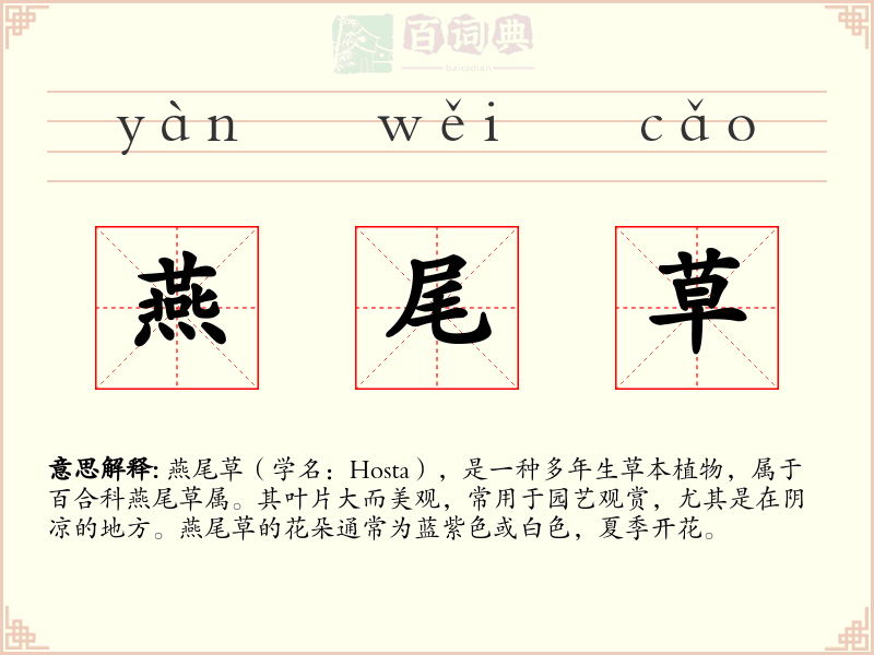 燕尾草