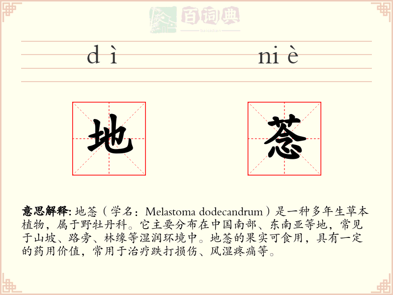 地菍
