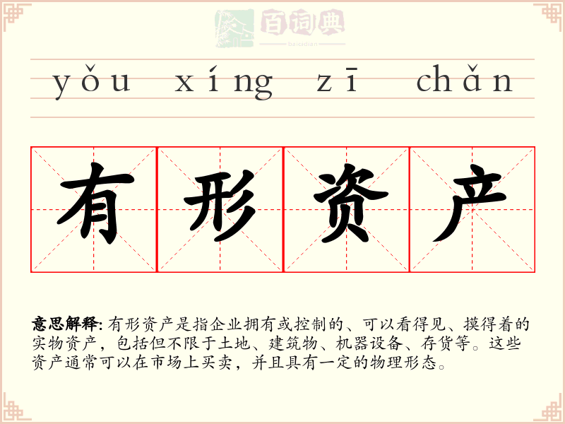 有形资产