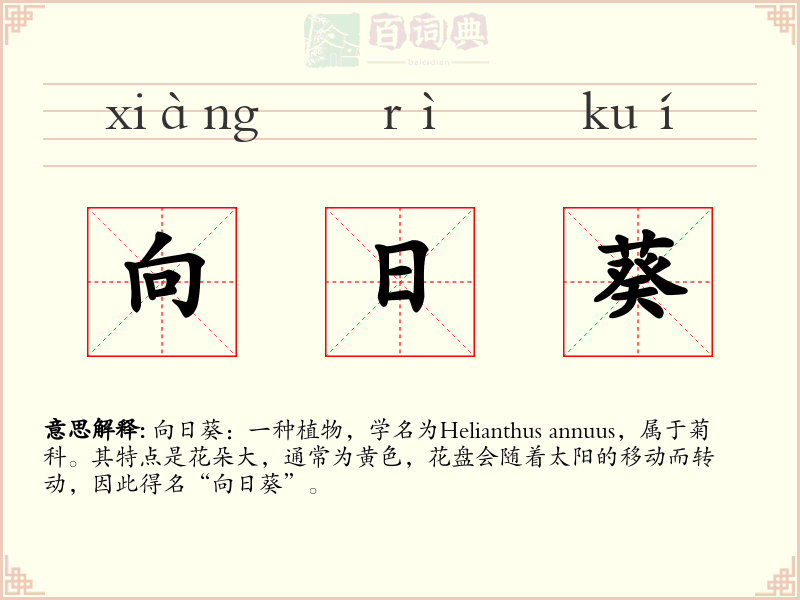 向日葵