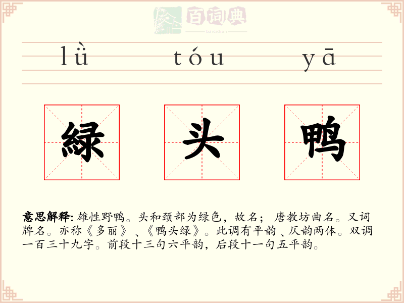 緑头鸭