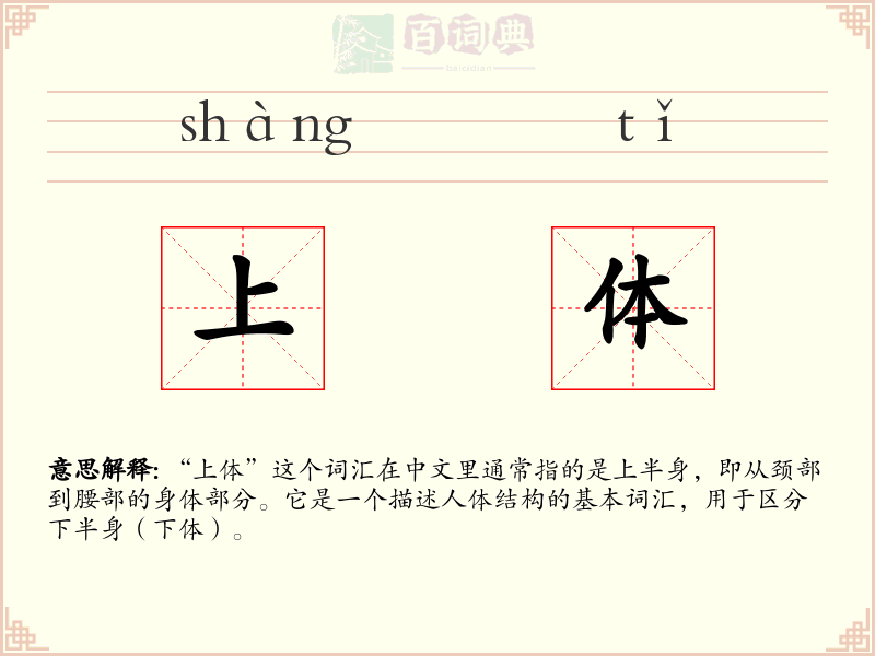 上体