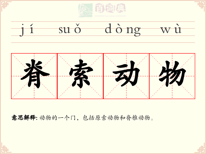 脊索动物
