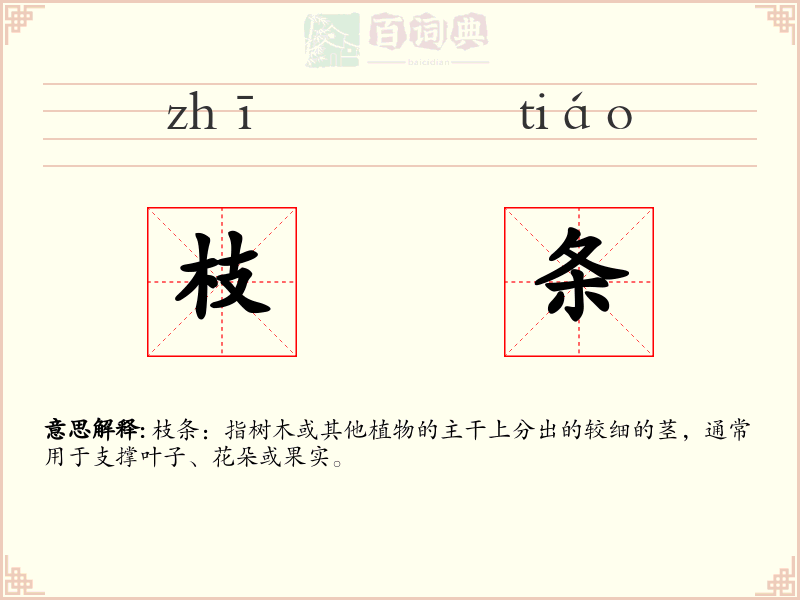 枝条