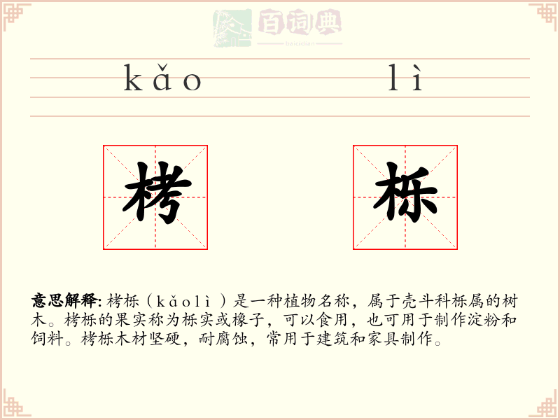 栲栎