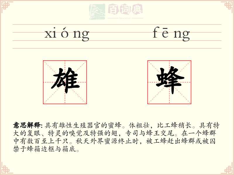 雄蜂