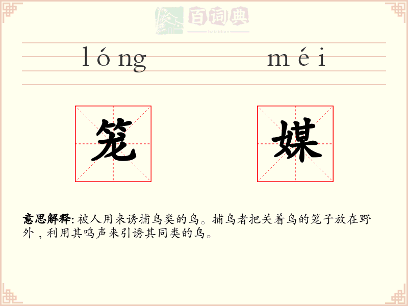 笼媒