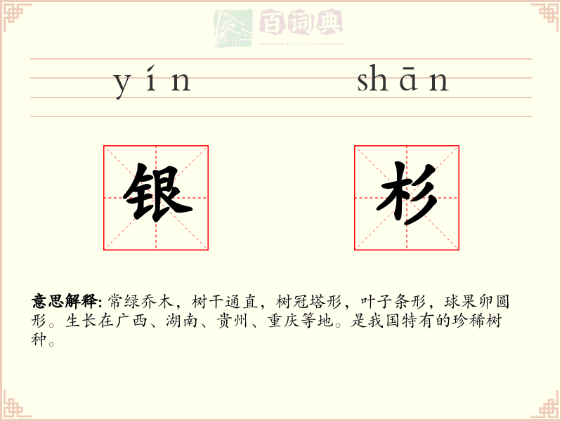 银杉
