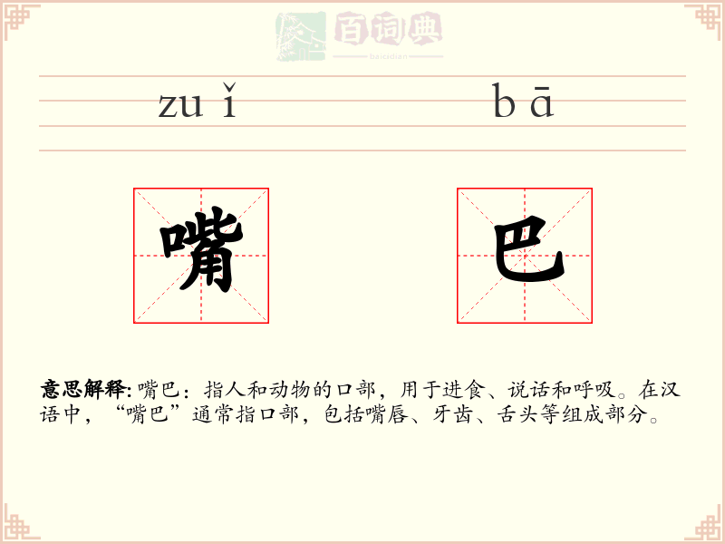 嘴巴
