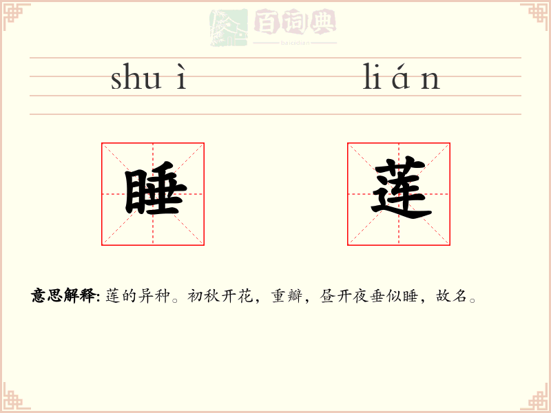 睡莲