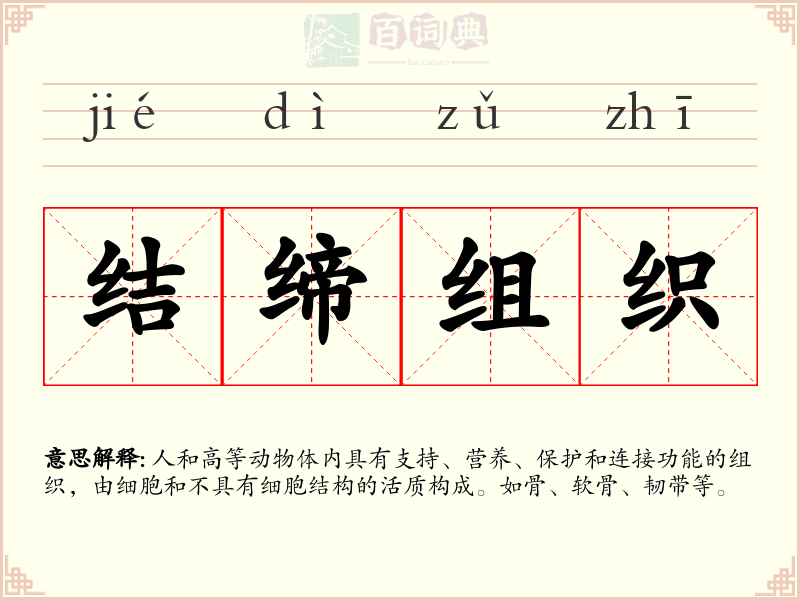 结缔组织