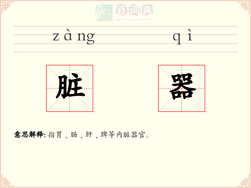脏器