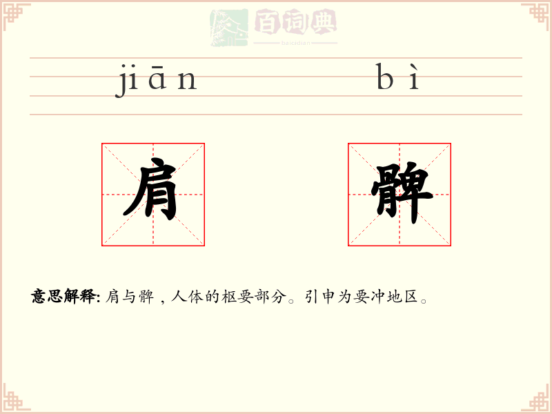 肩髀