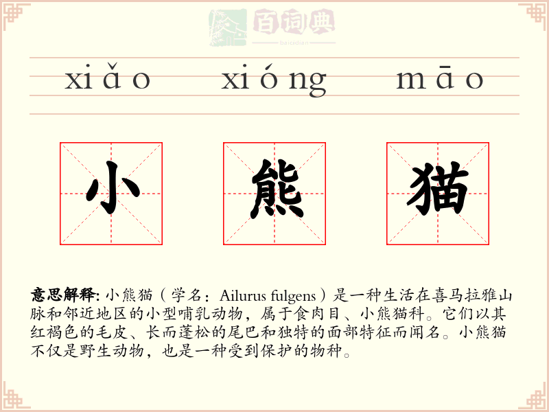 小熊猫