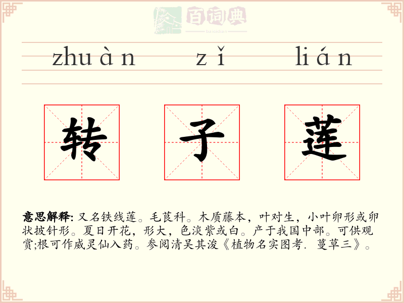 转子莲