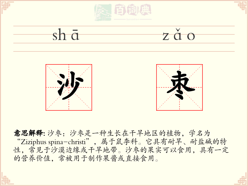 沙枣