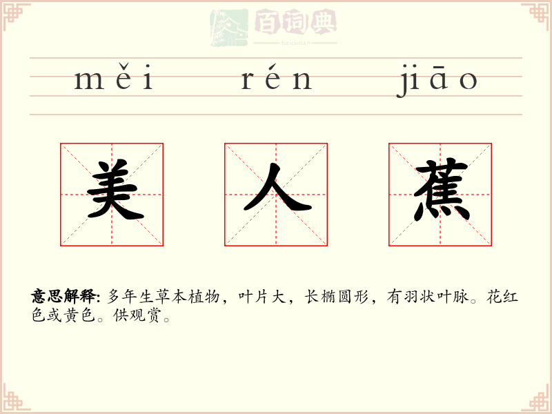 美人蕉