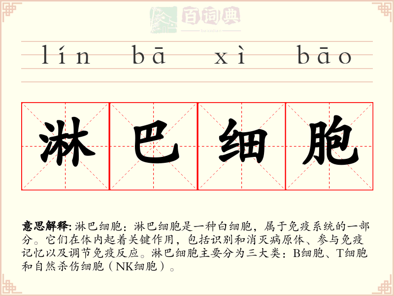 淋巴细胞