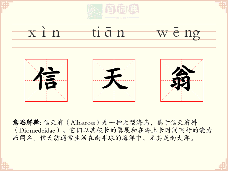 信天翁