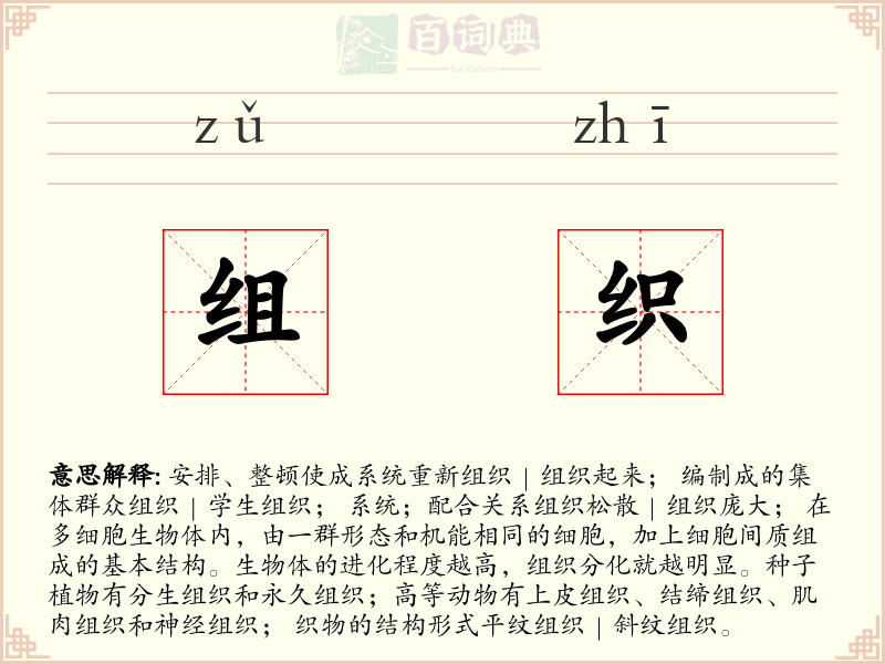 组织