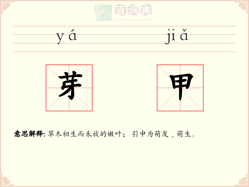 芽甲