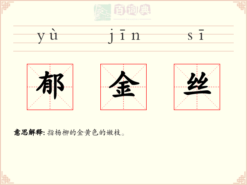 郁金丝