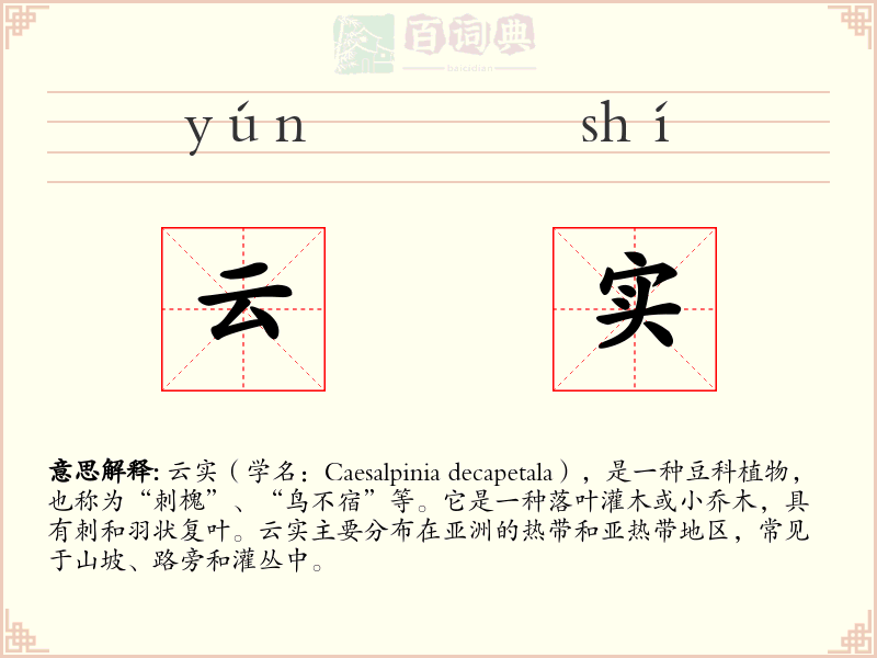 云实