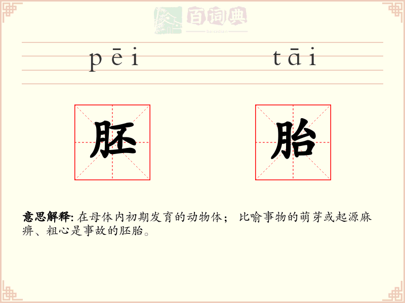 胚胎