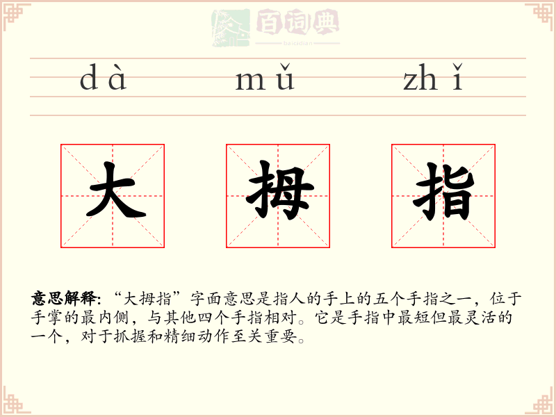 大拇指