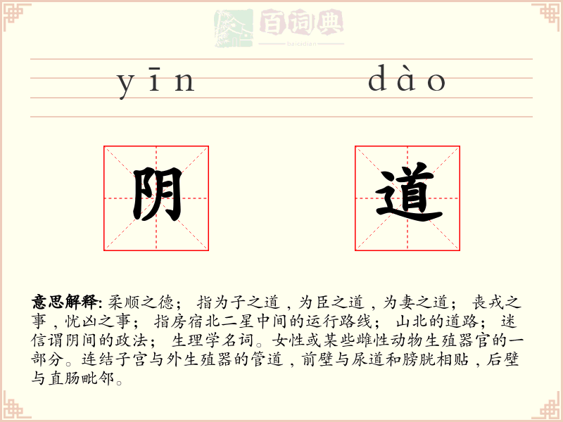 阴道