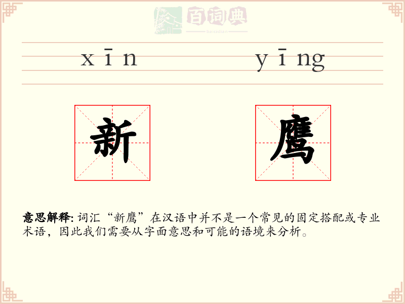 新鹰