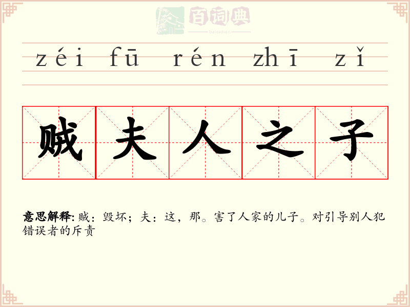 贼夫人之子