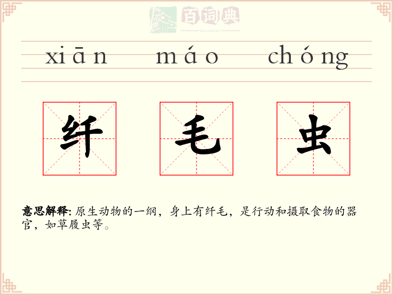 纤毛虫