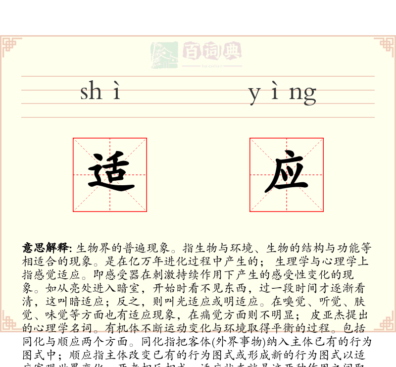 适应