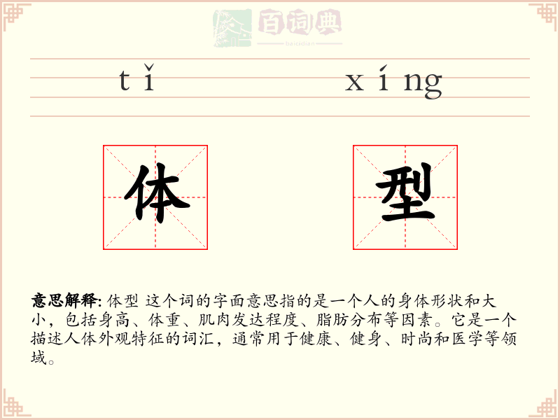 体型