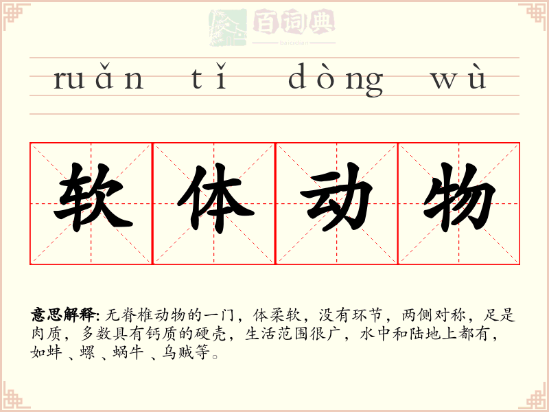 软体动物