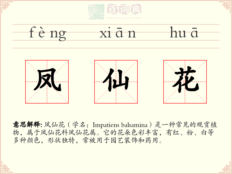 凤仙花