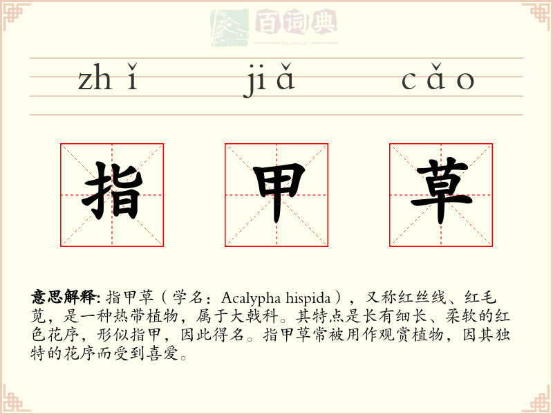 指甲草