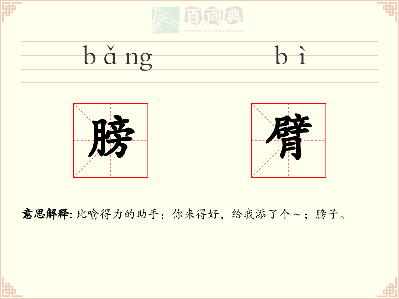 膀臂