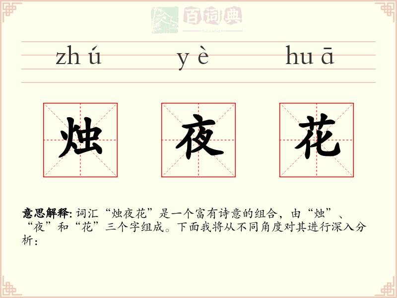 烛夜花