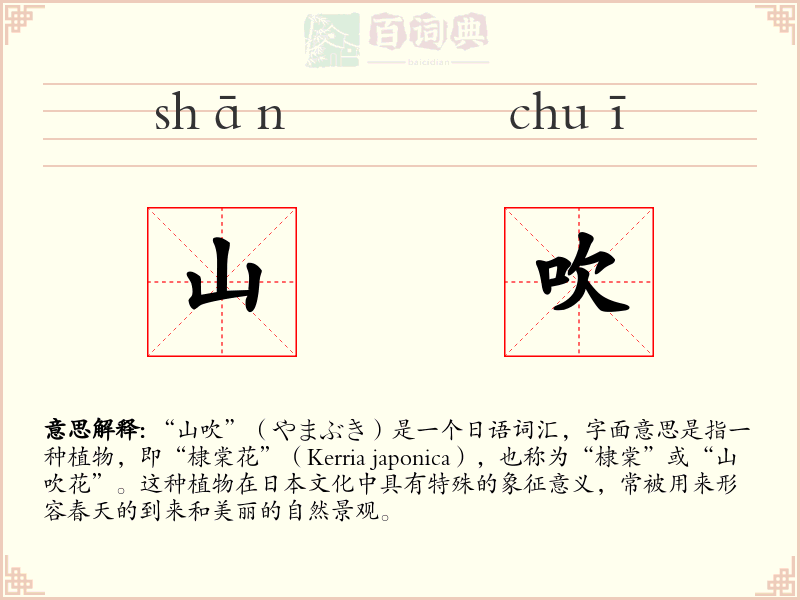 山吹