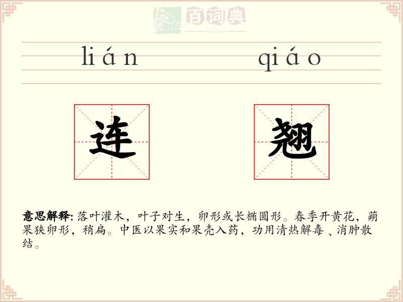 连翘