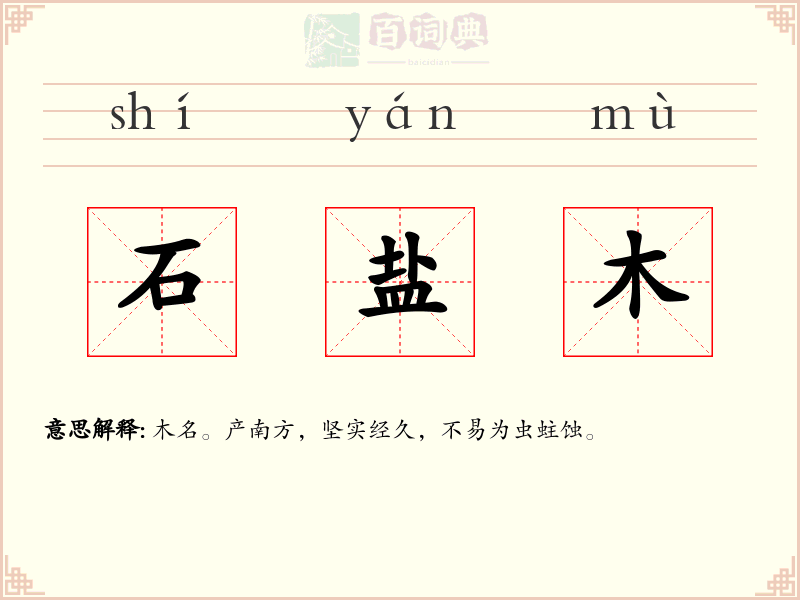 石盐木