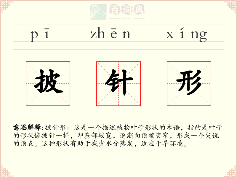 披针形