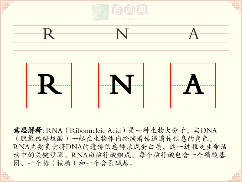 RNA