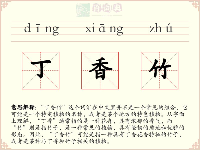 丁香竹